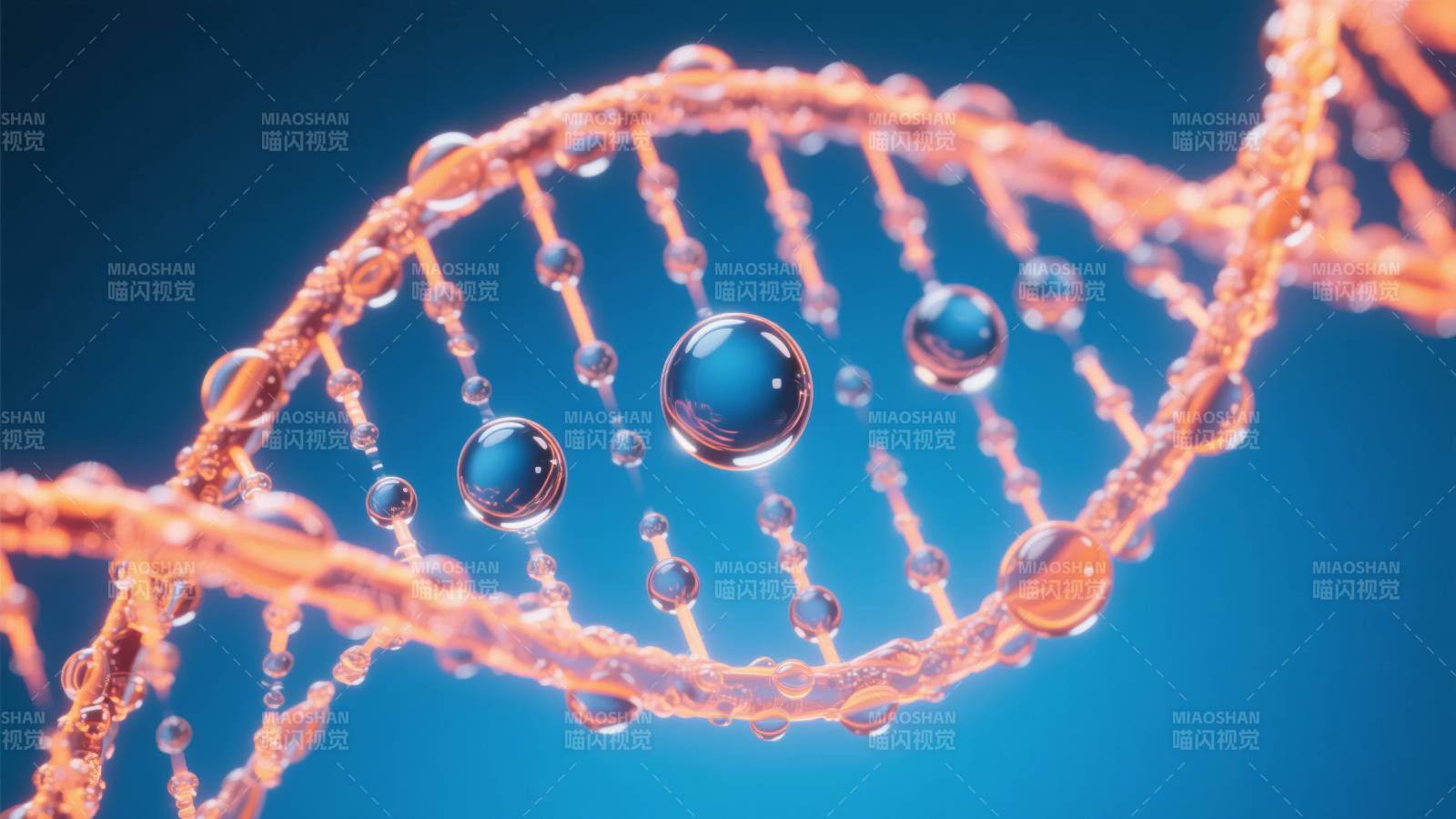 DNA双螺旋结构图片