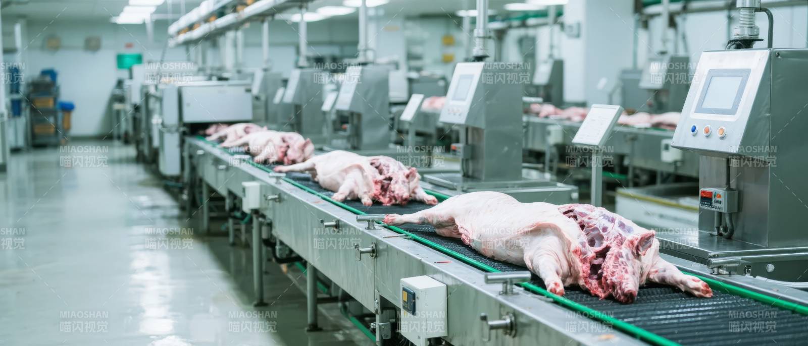 屠宰车间流水线图片