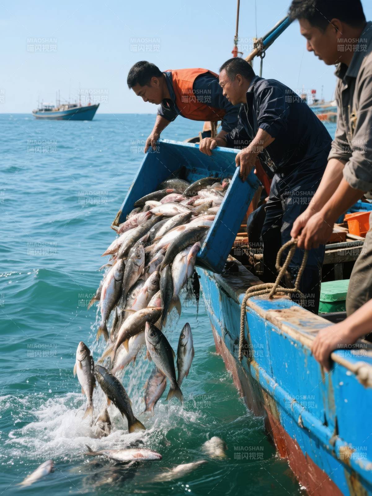 渔民海中卸鱼图片