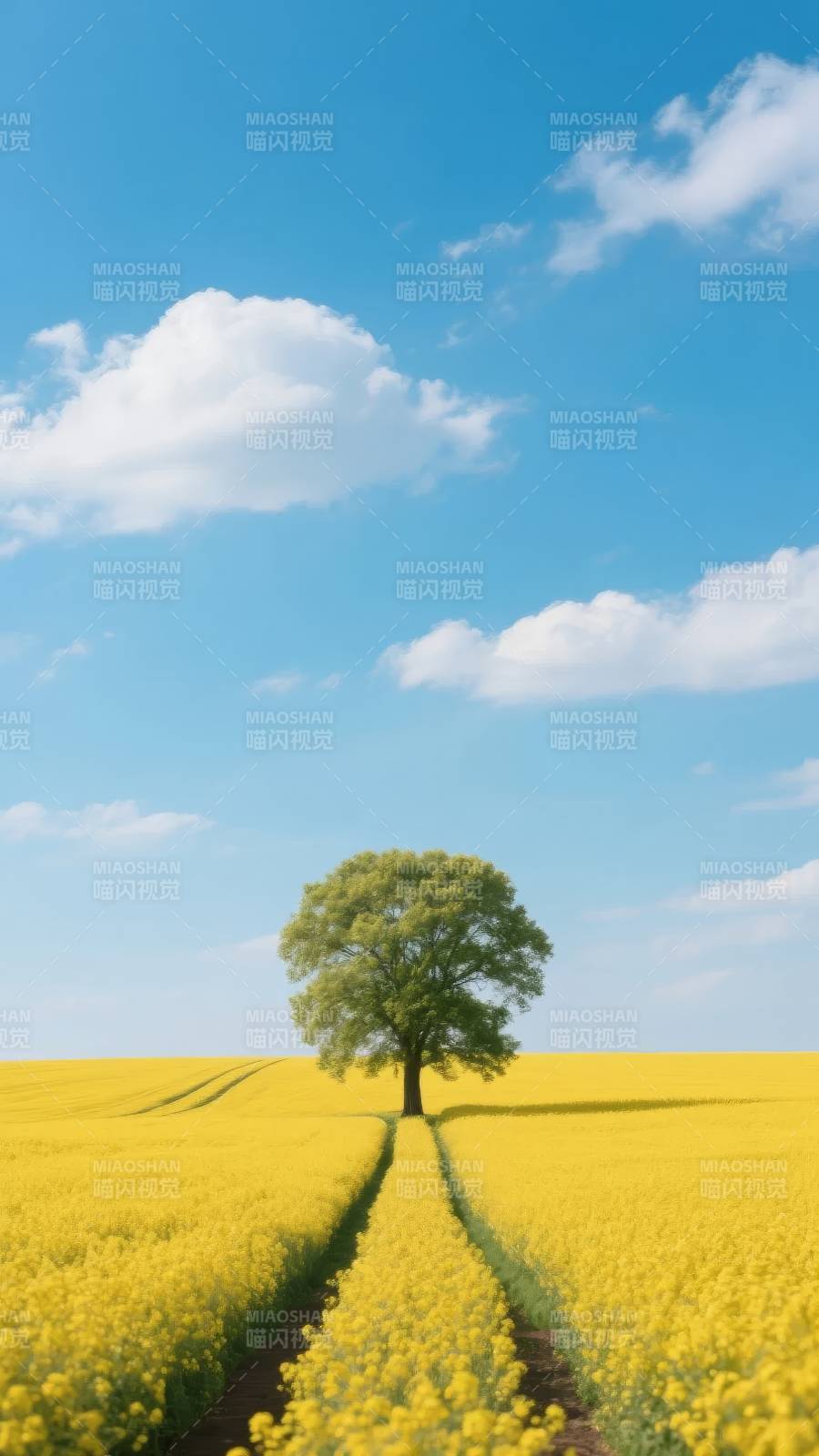 孤树黄花映蓝天图片