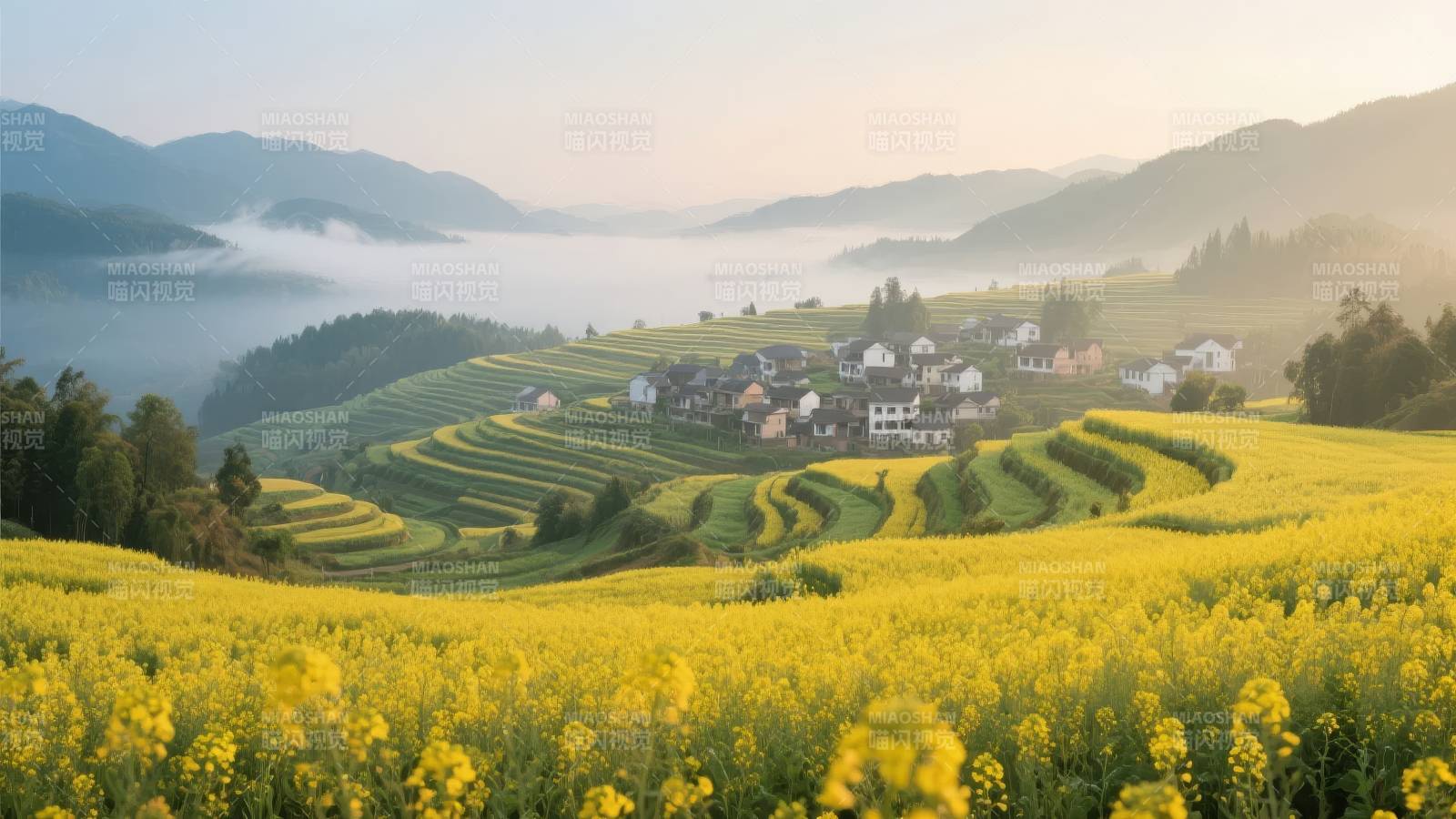 梯田花海晨雾乡图片