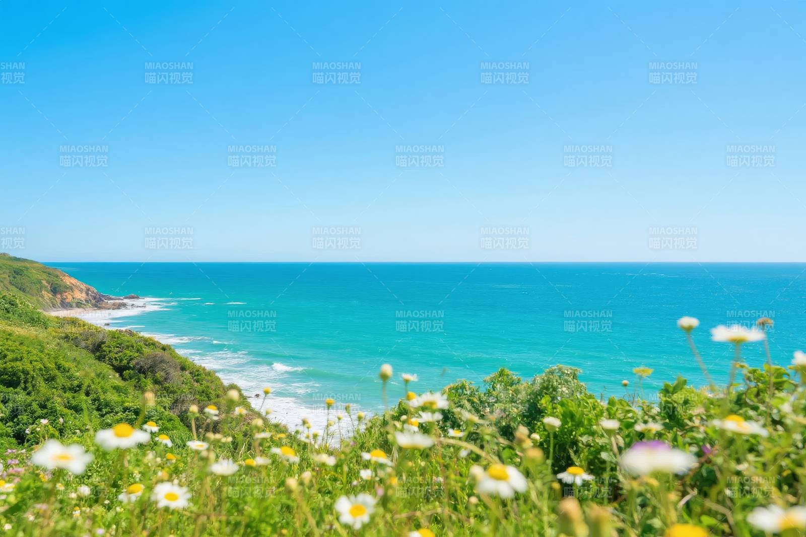 海岸花海风光图片
