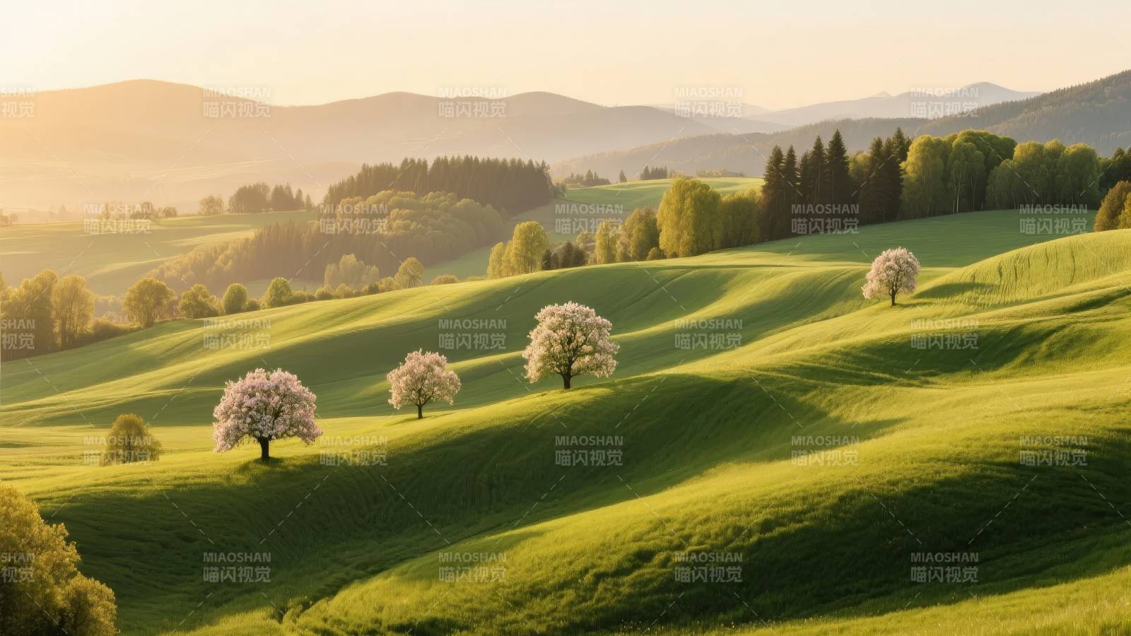 春日田园风光图片