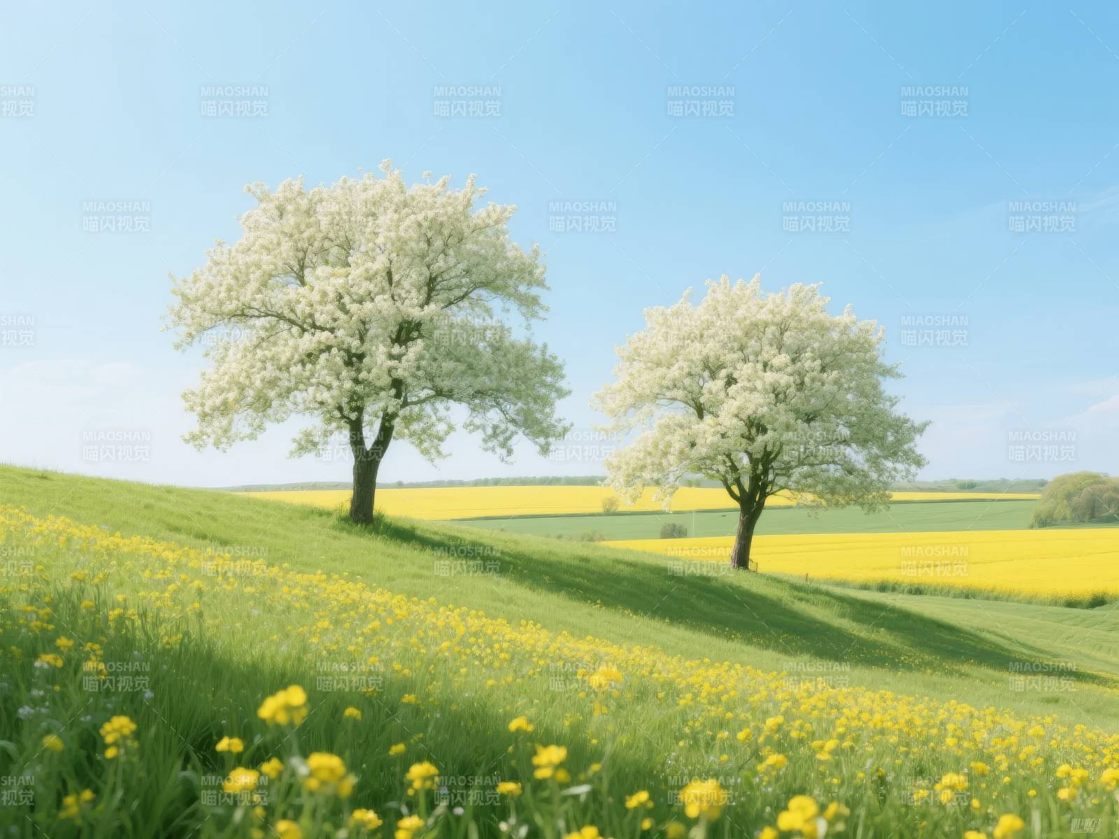 春日花树田园图片