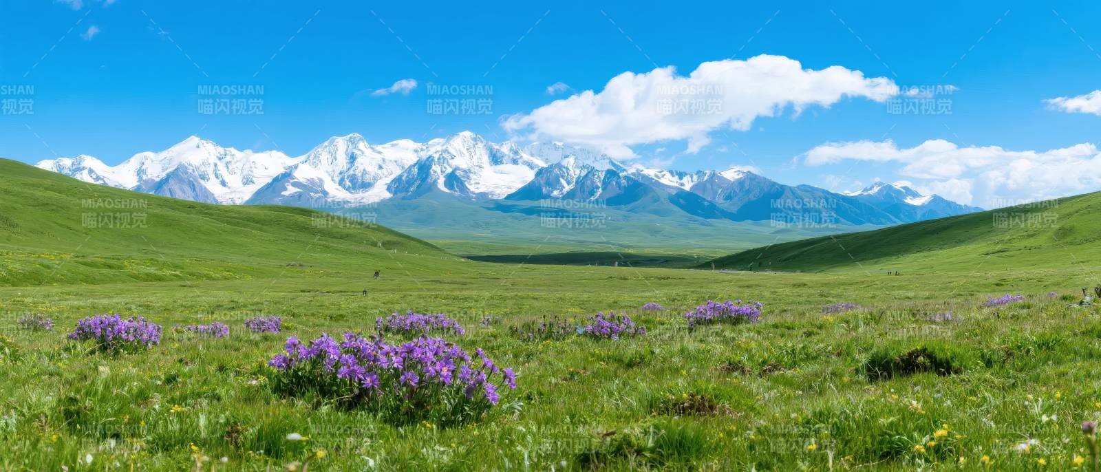 雪山草原花海图片