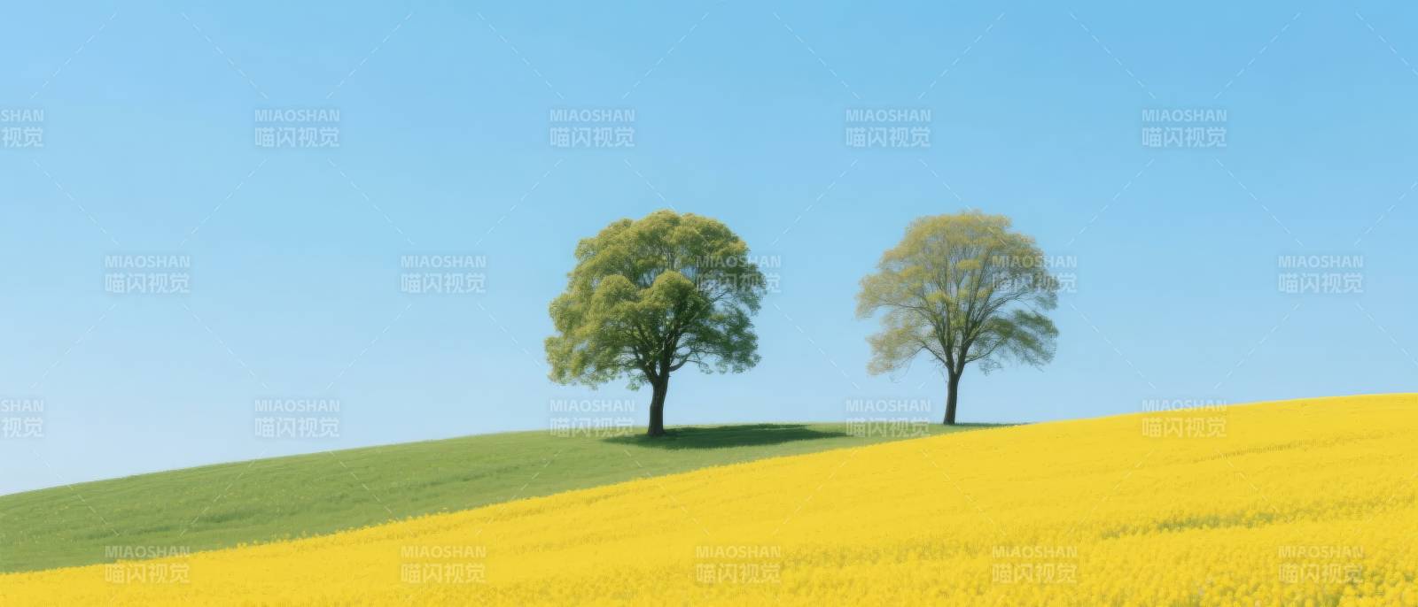 黄花绿野双树影图片