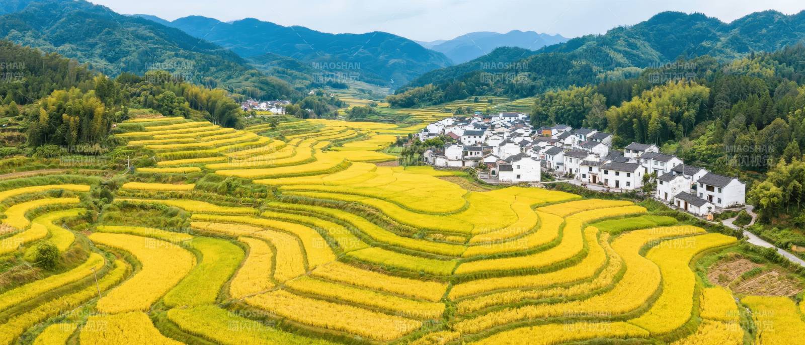 金秋梯田风光图片