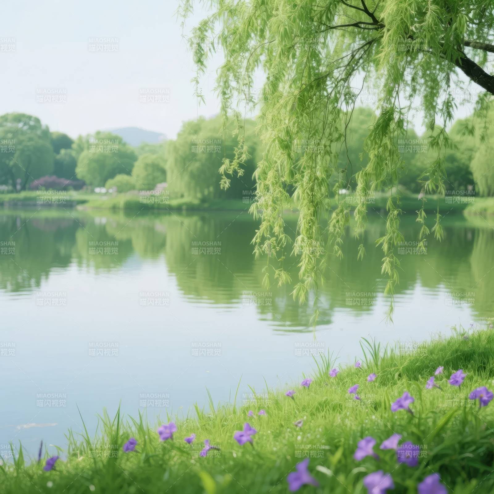 湖畔春景图片