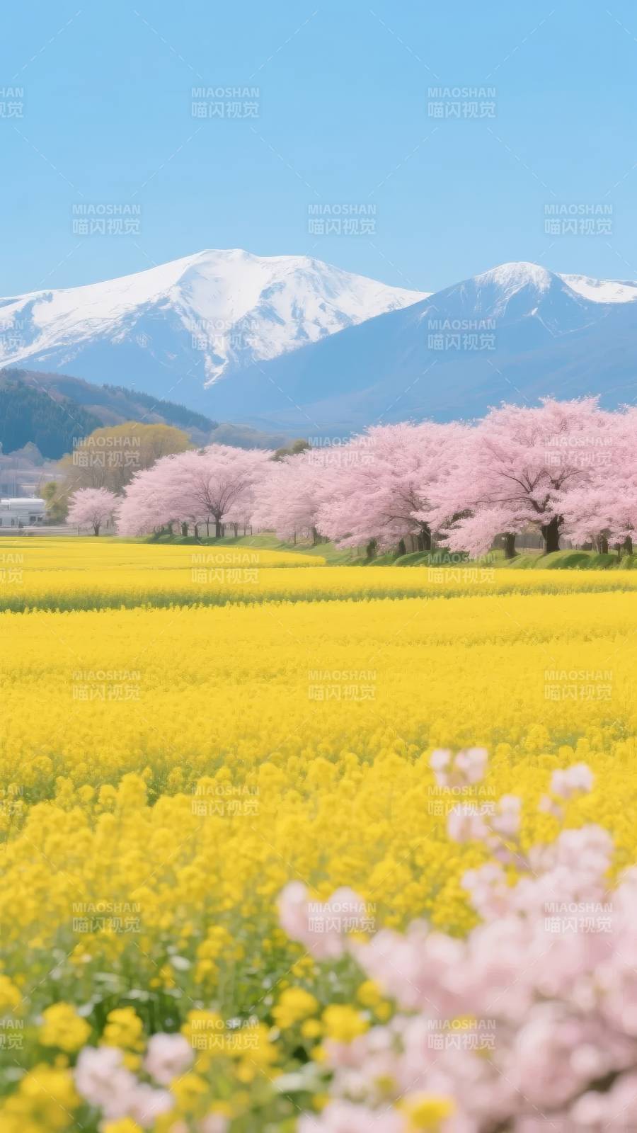 春日山花烂漫图片