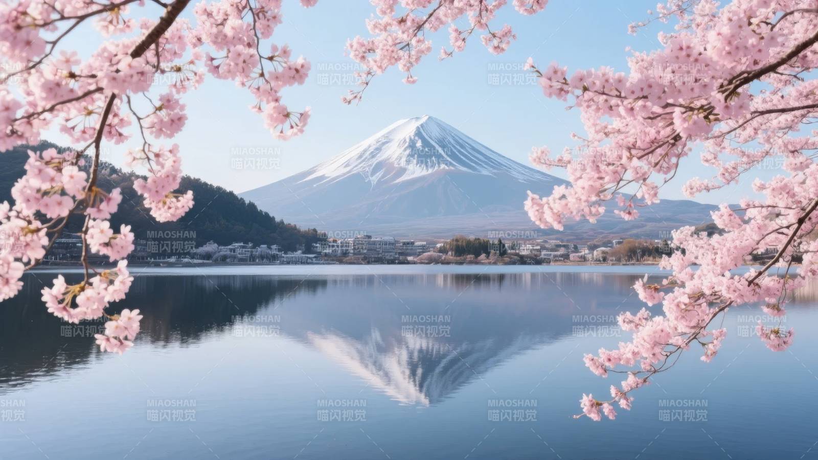 富士山樱花映湖图片
