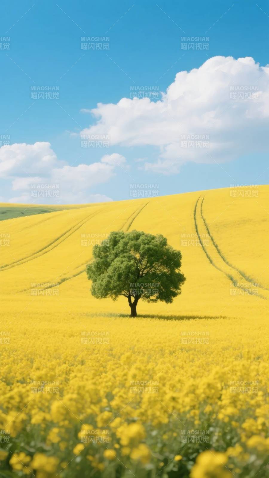 孤树黄花映蓝天图片