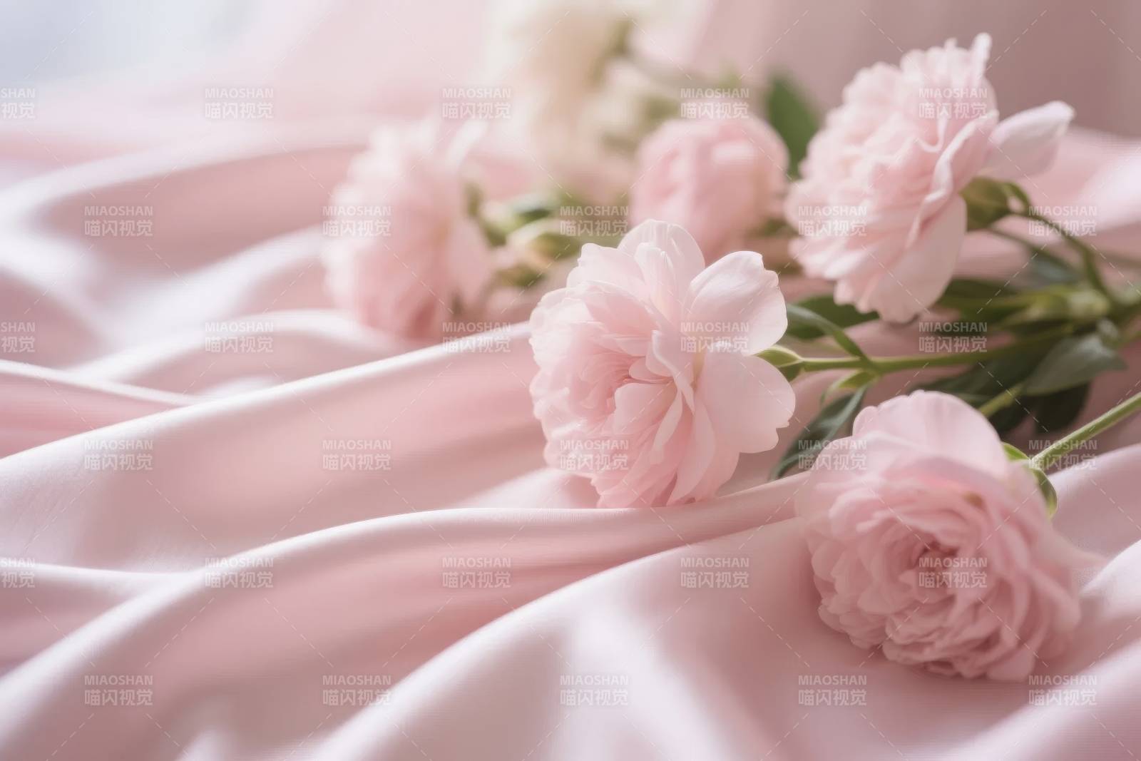 粉花轻柔布上绽放图片