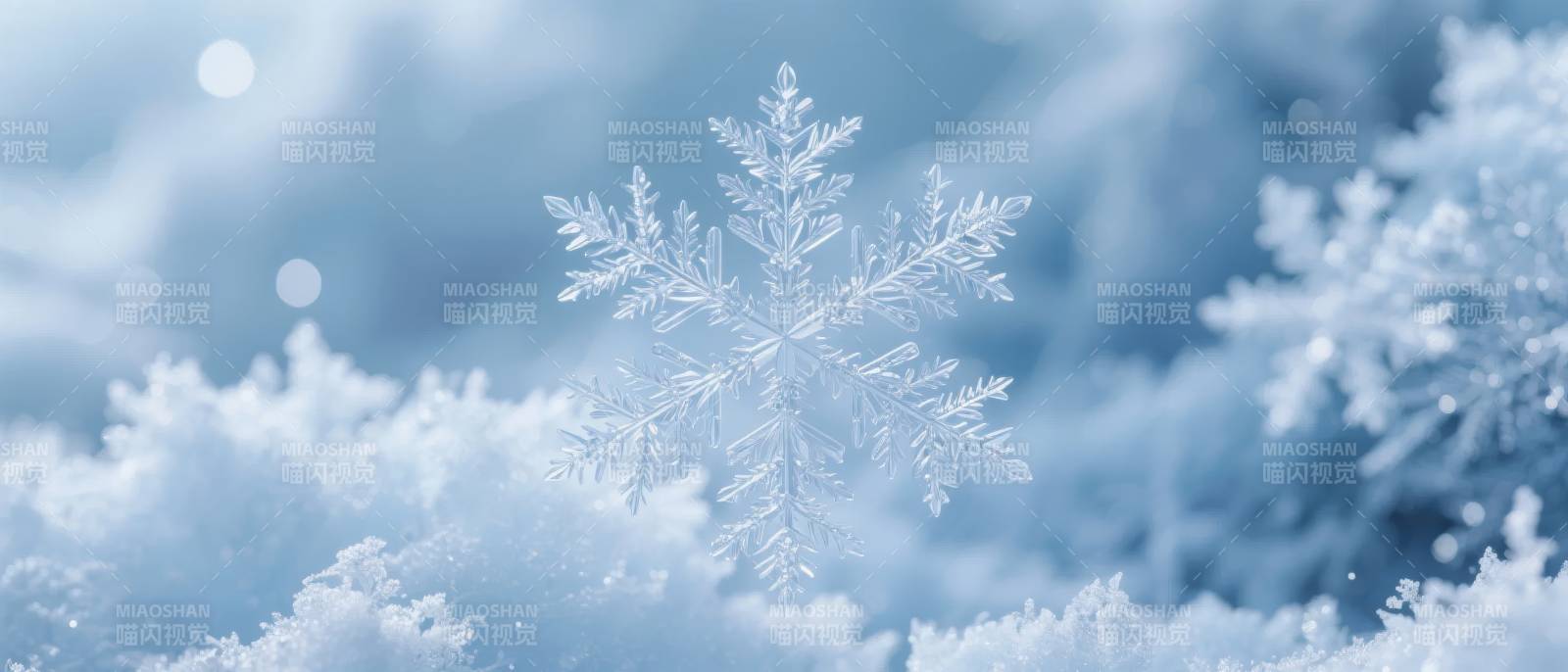 晶莹雪花飘落图片