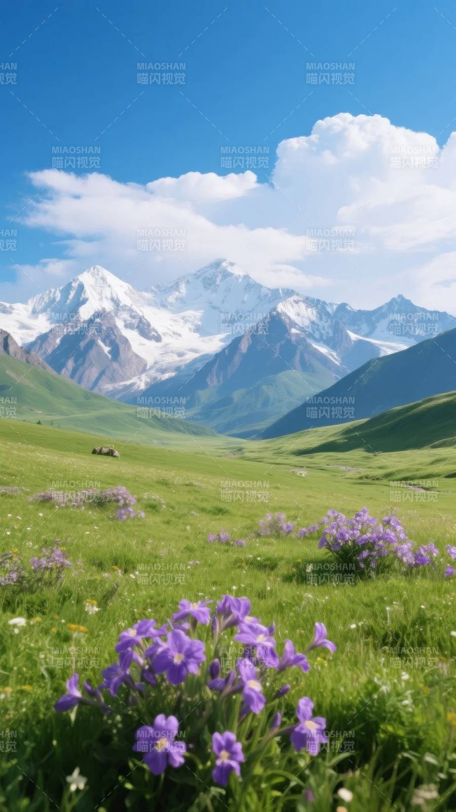 雪山花海春意浓图片