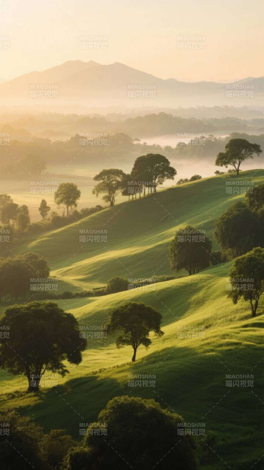 晨曦绿野山影图片