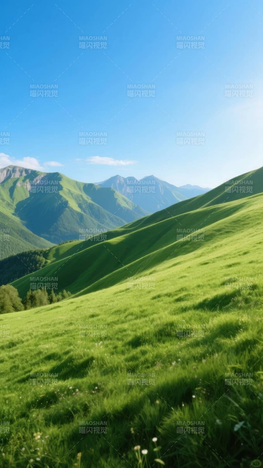 绿野青山 晴空万里图片