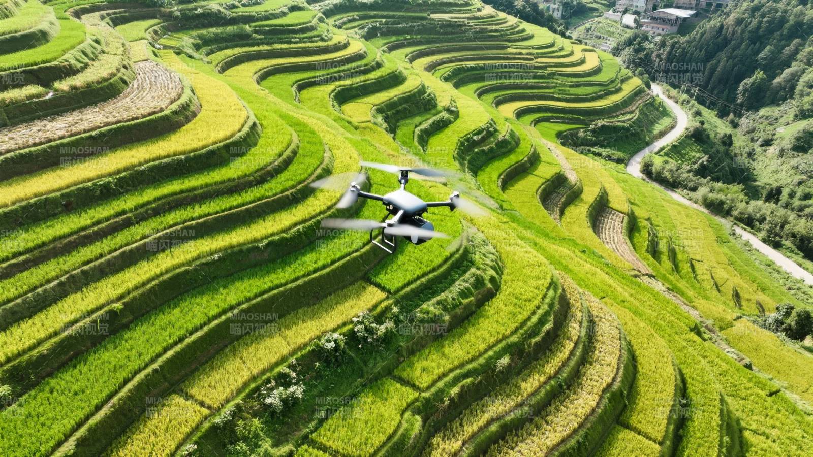 梯田上的无人机图片