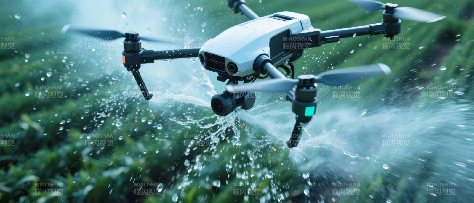 无人机喷洒农田图片