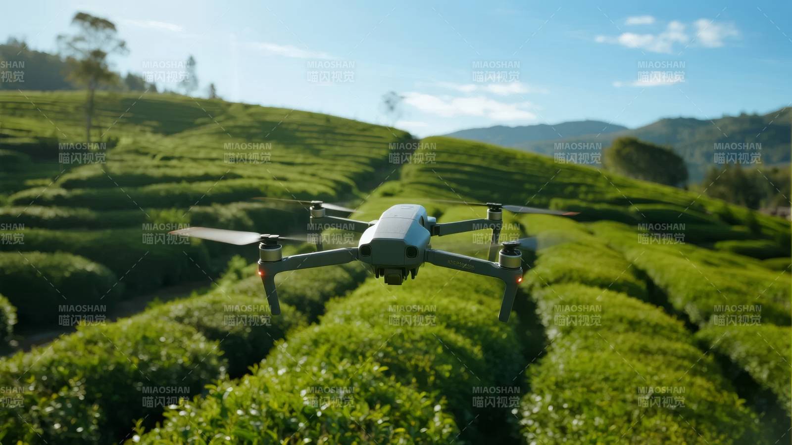 无人机飞越茶园图片