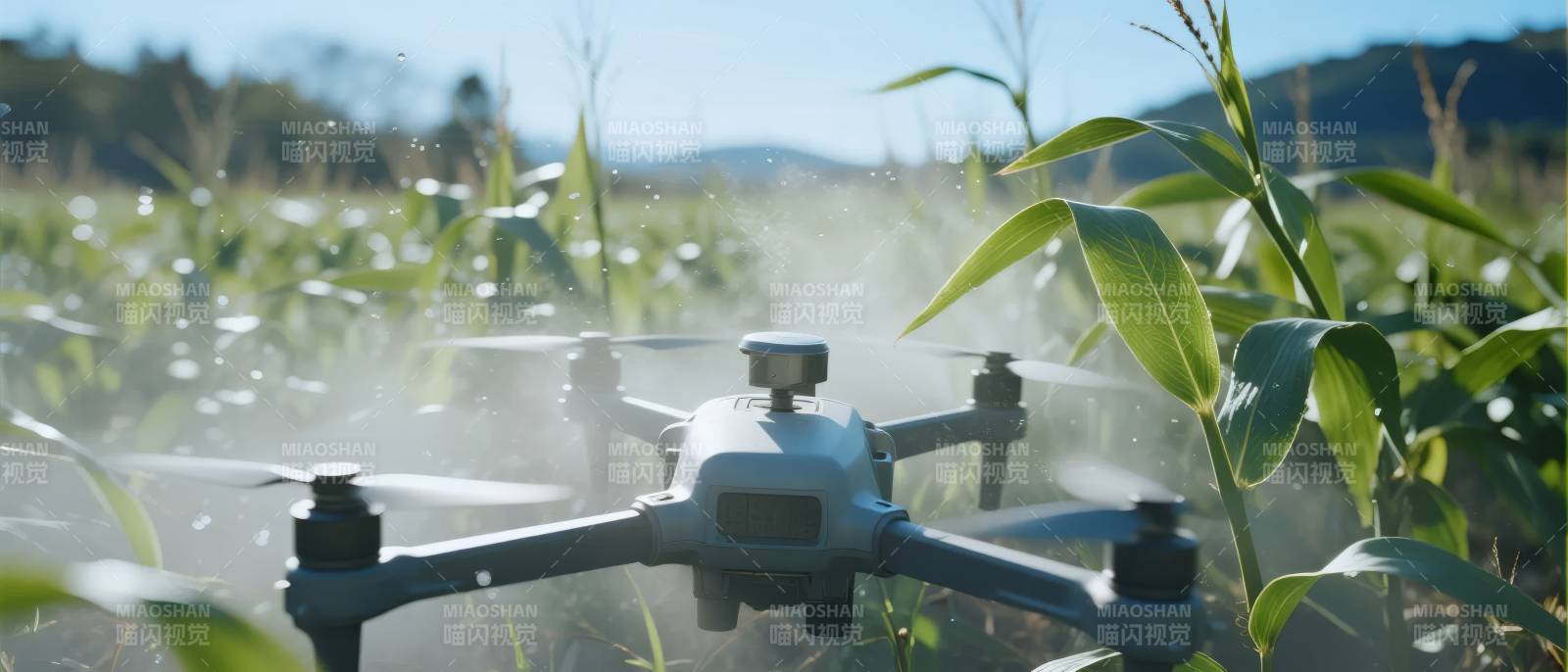 无人机喷洒农田图片