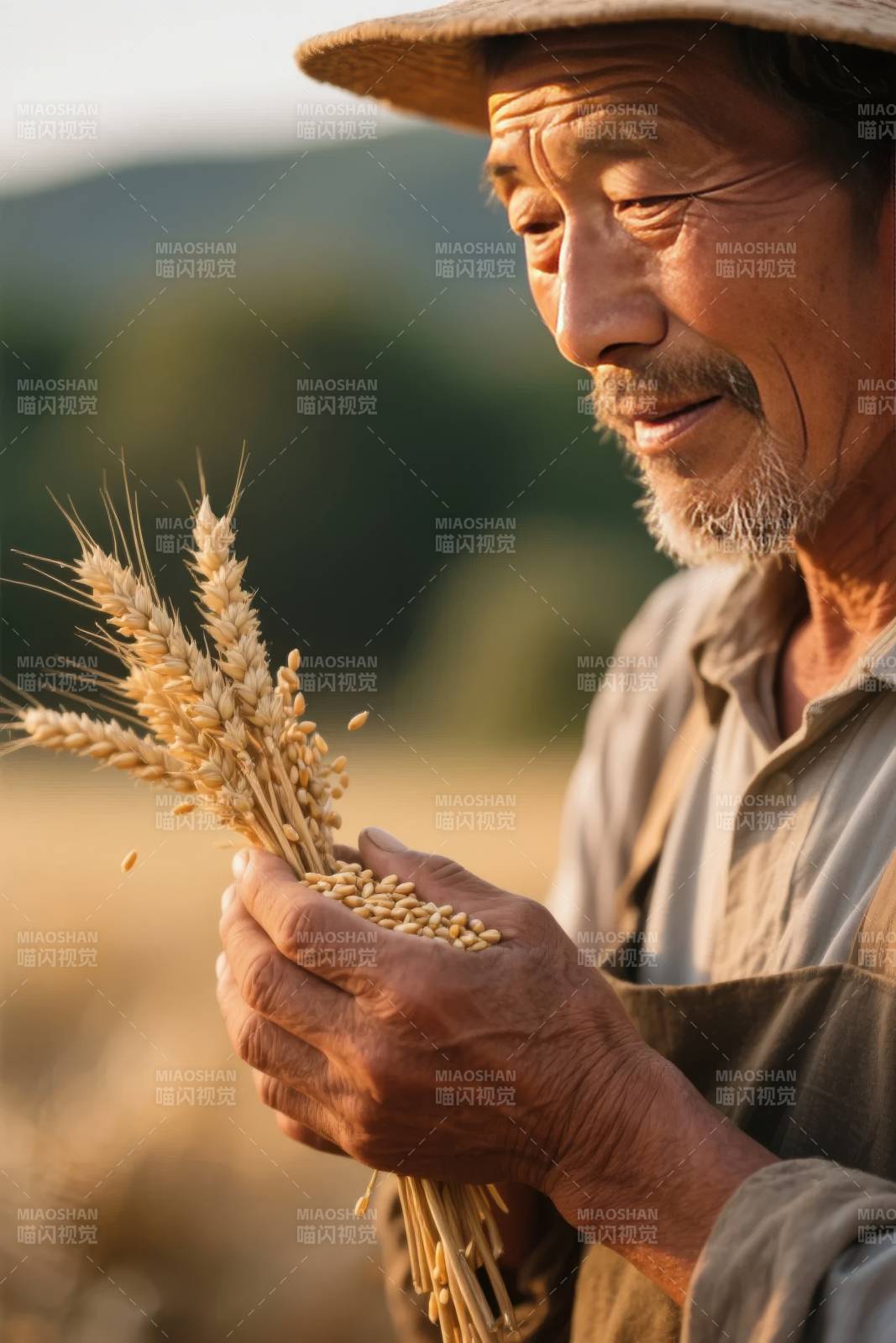 丰收的喜悦图片