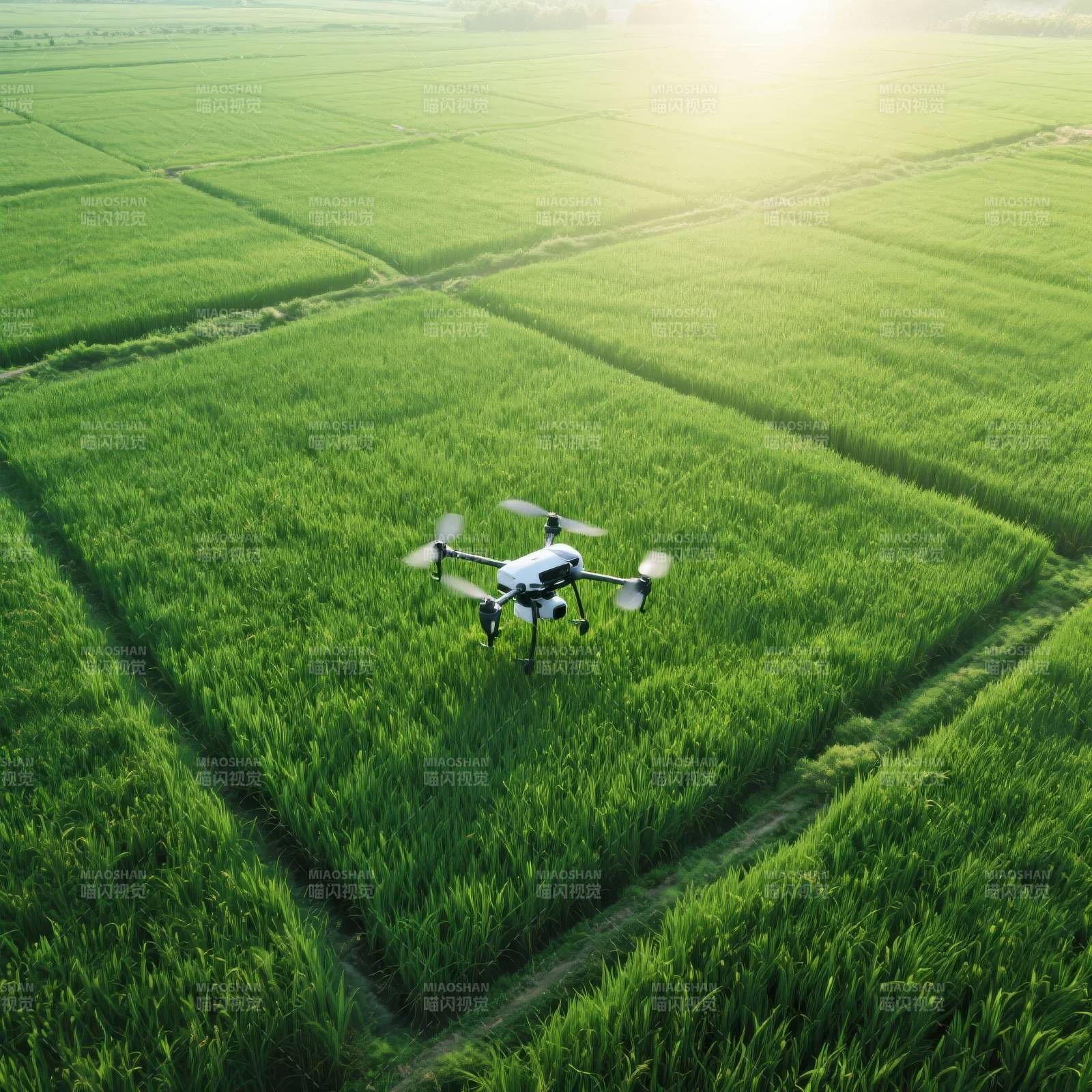 无人机巡田图片