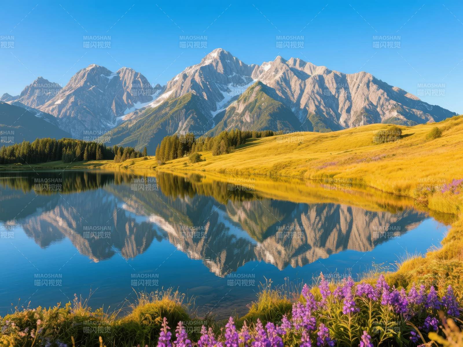 雪山倒影湖畔花图片