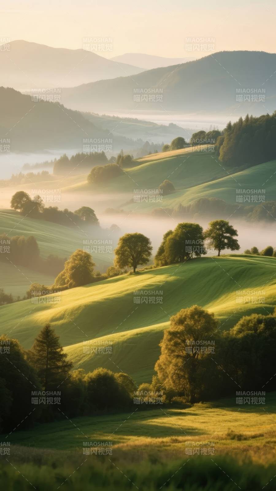 晨雾山野图片