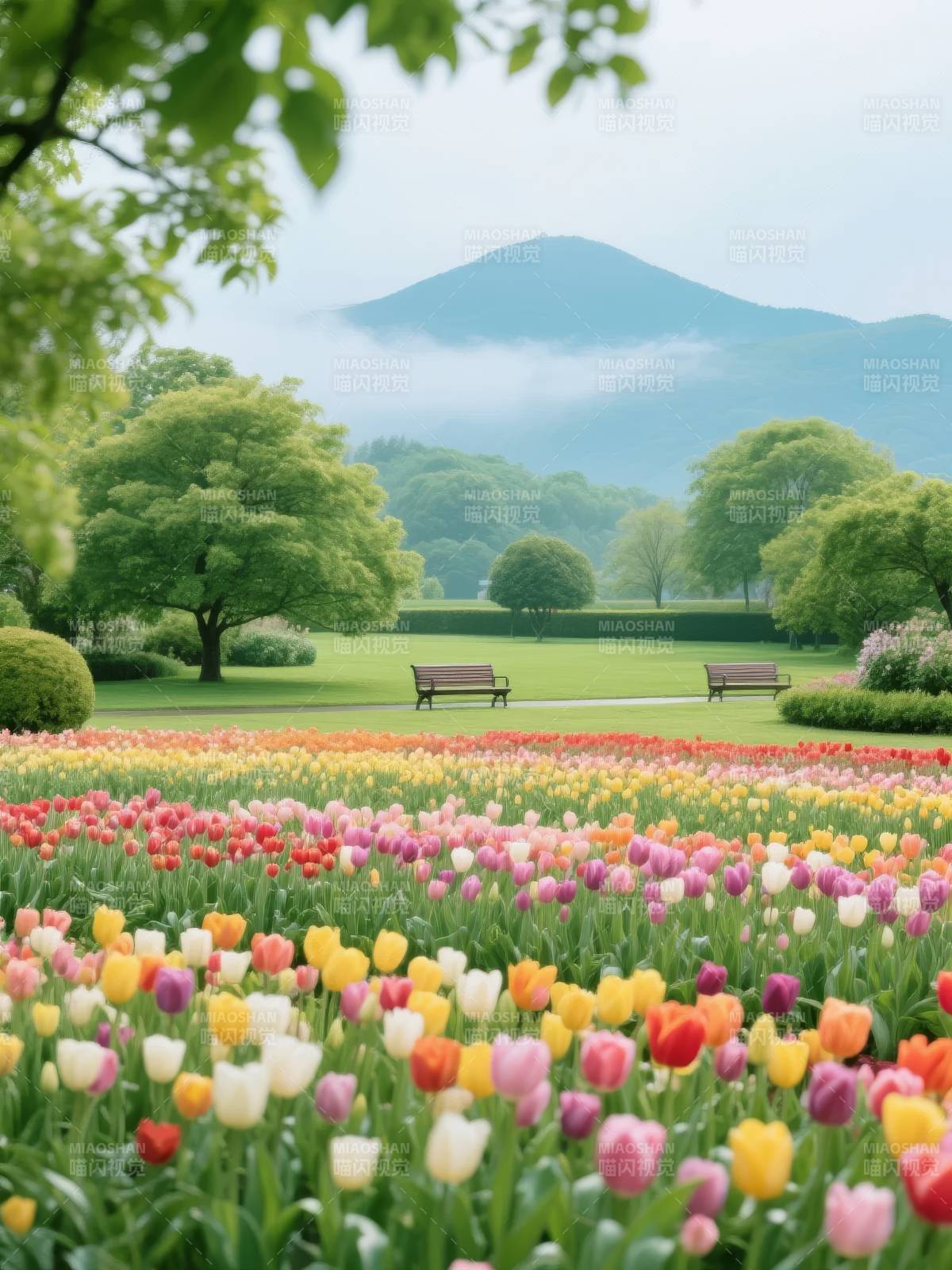 春日花海山景图片