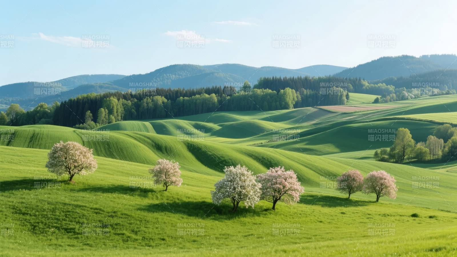 春日绿野花树图片