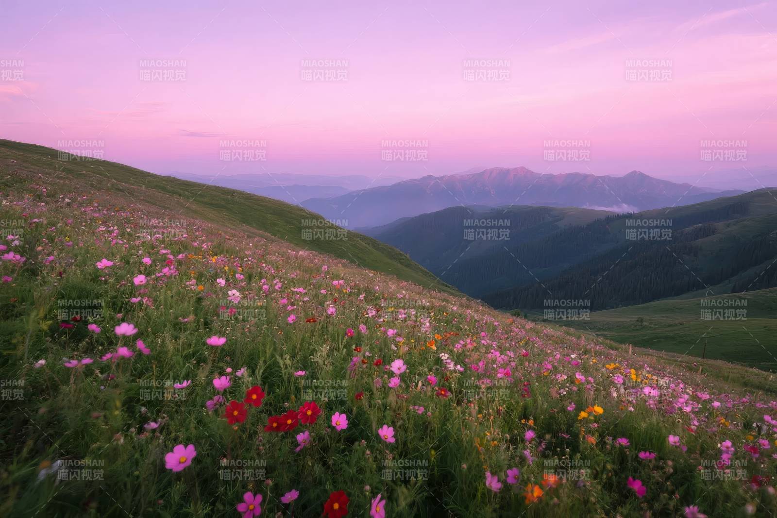花海暮色山峦图片