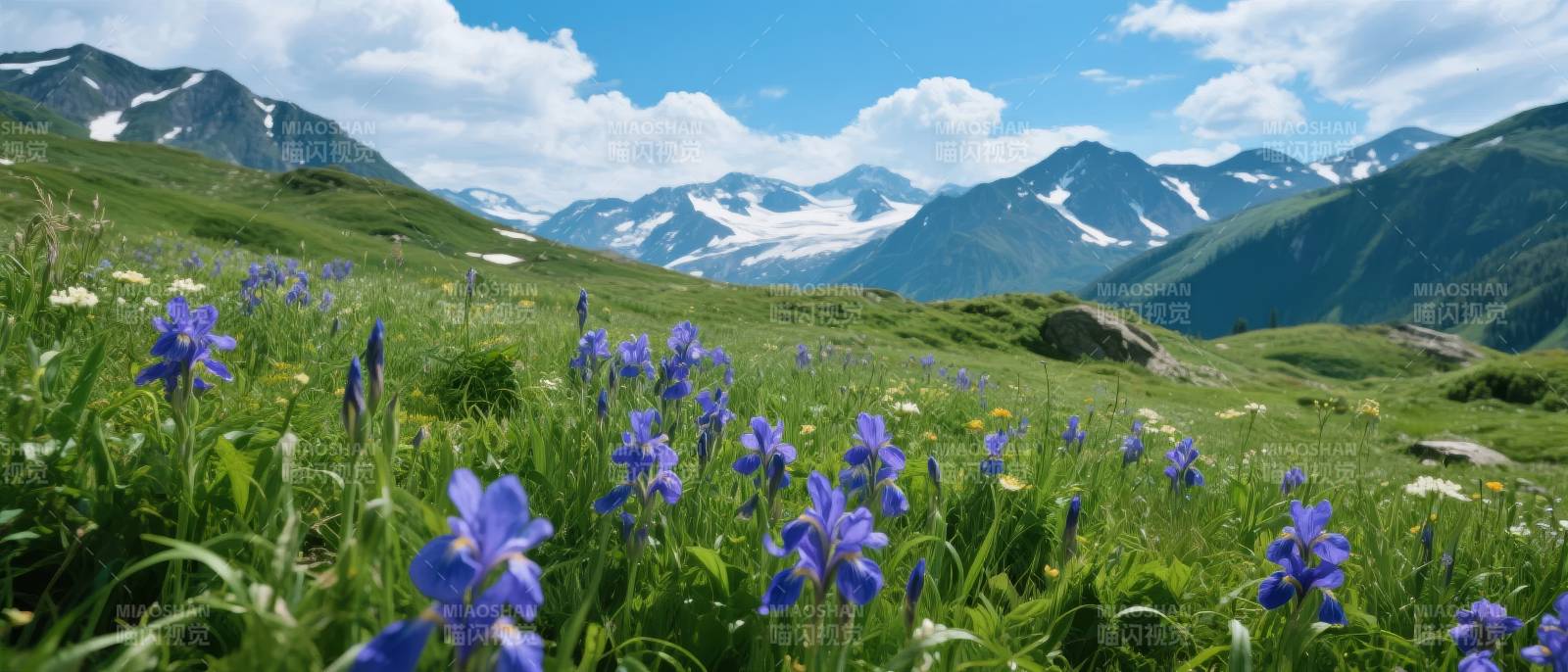 雪山花海美景图片