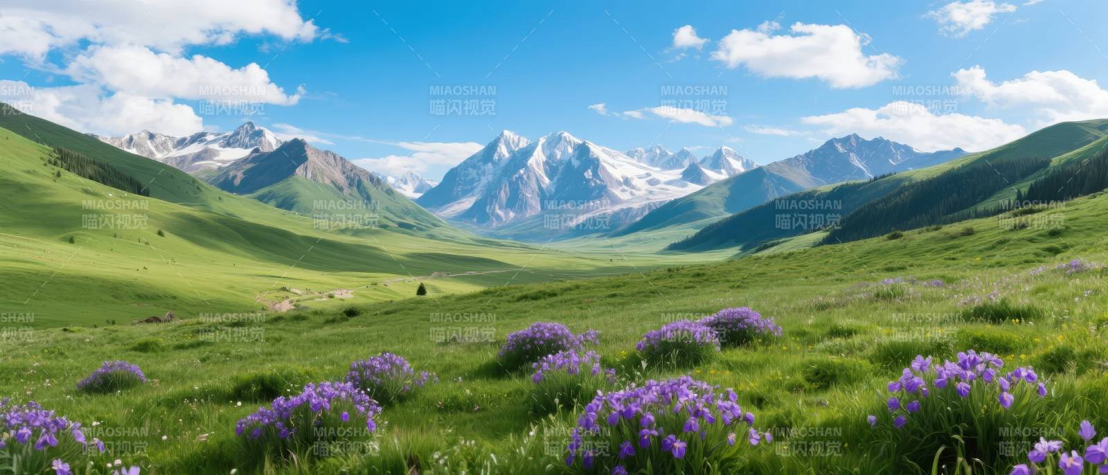 雪山草原花海图片