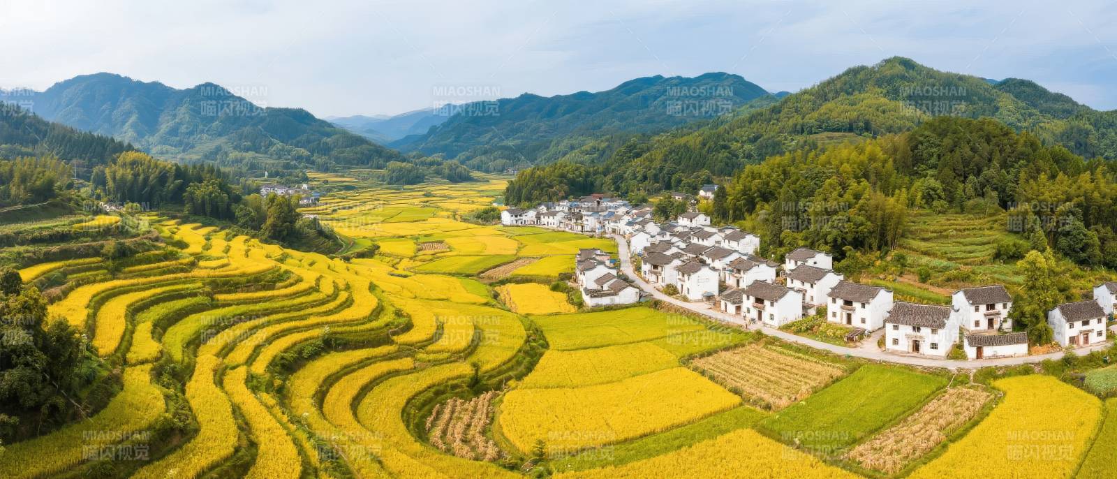 梯田金秋风光图片