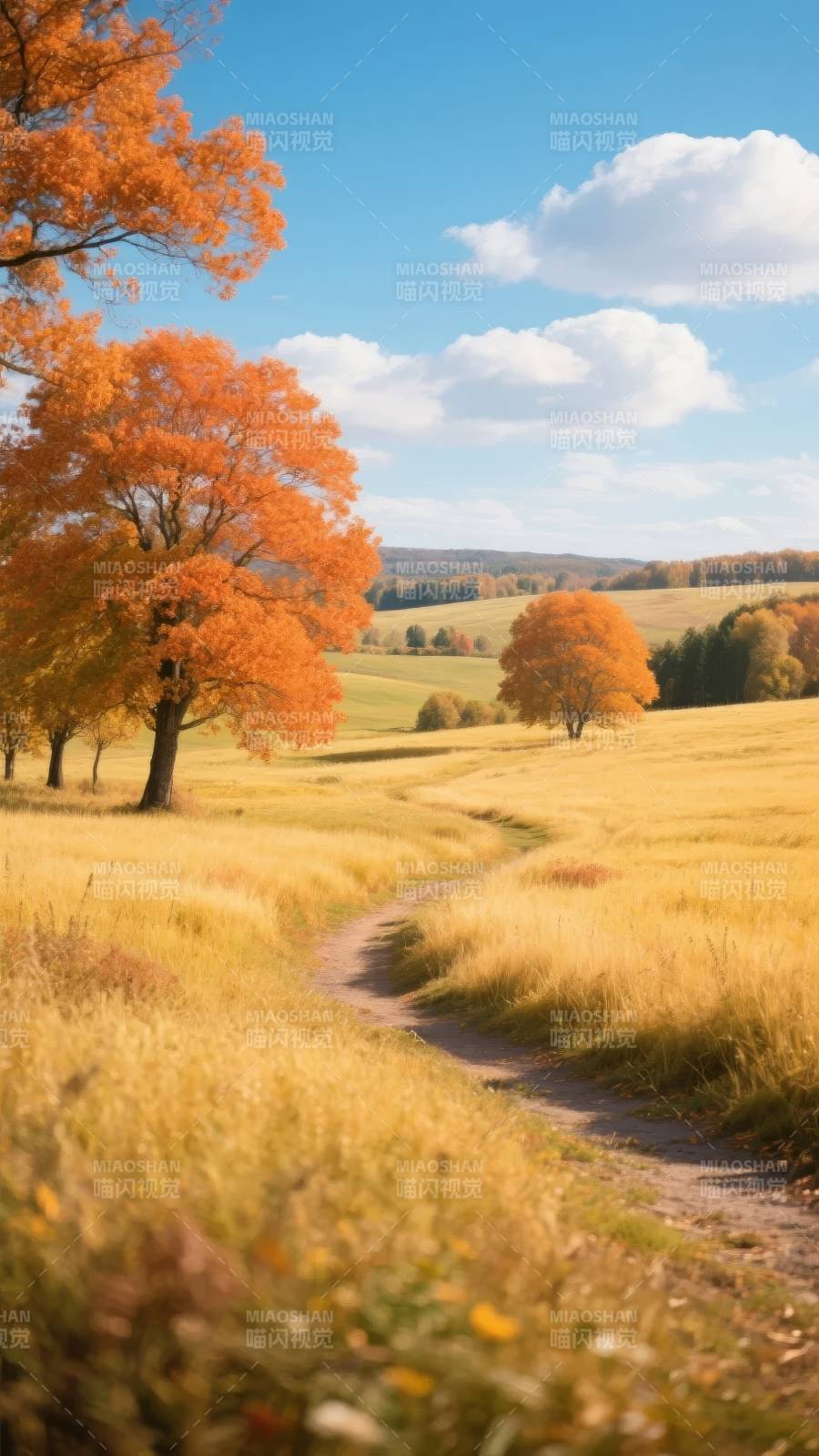 秋日田园小径图片