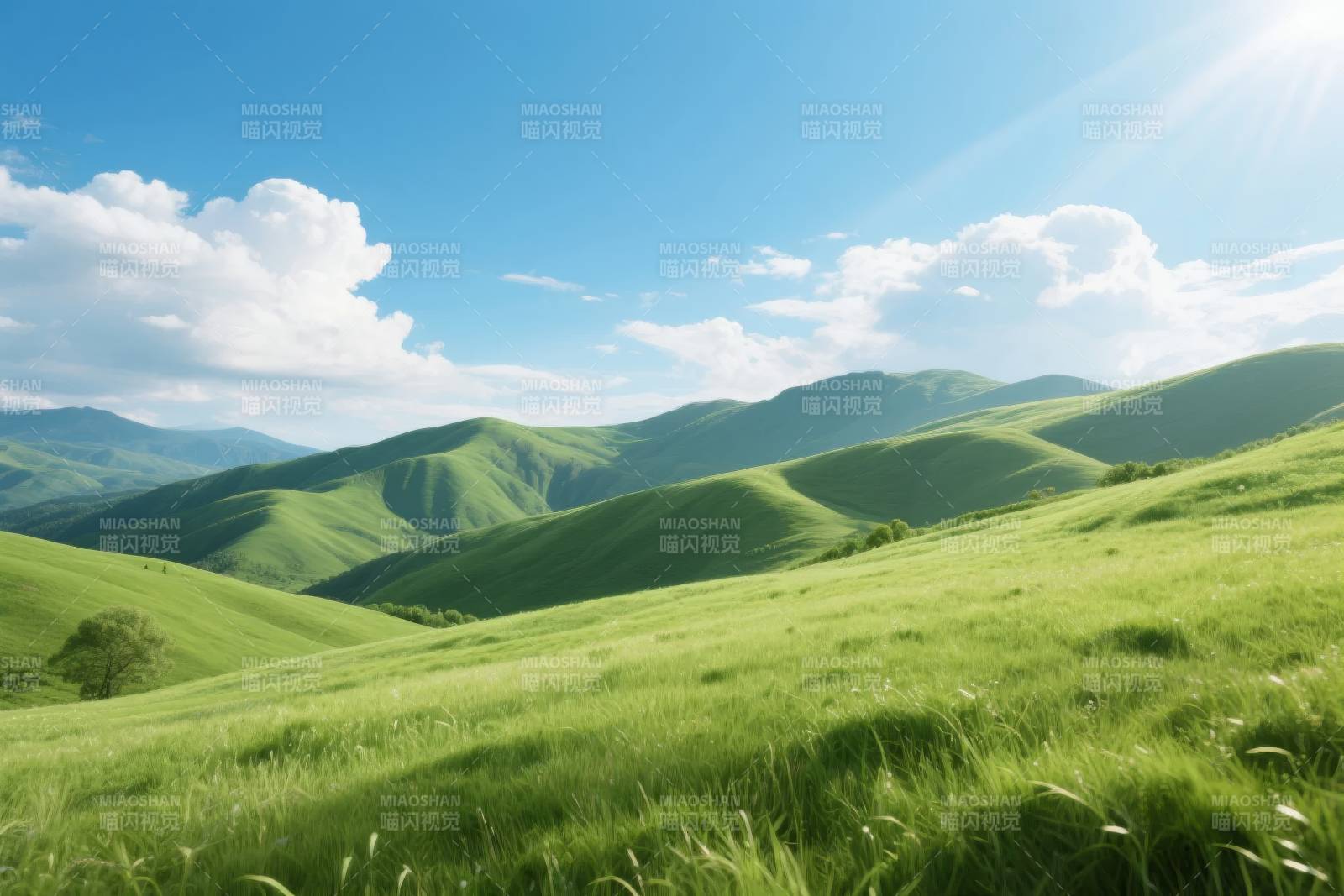 绿野青山 晴空万里图片