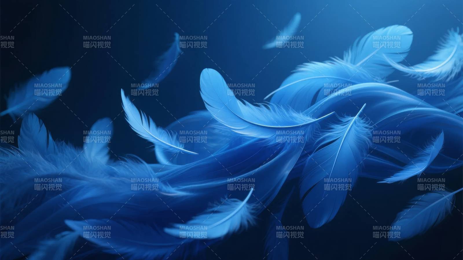 蓝羽飘舞图片