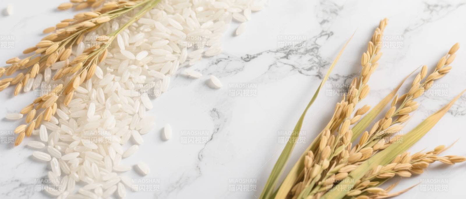 稻穗与大米静物图片