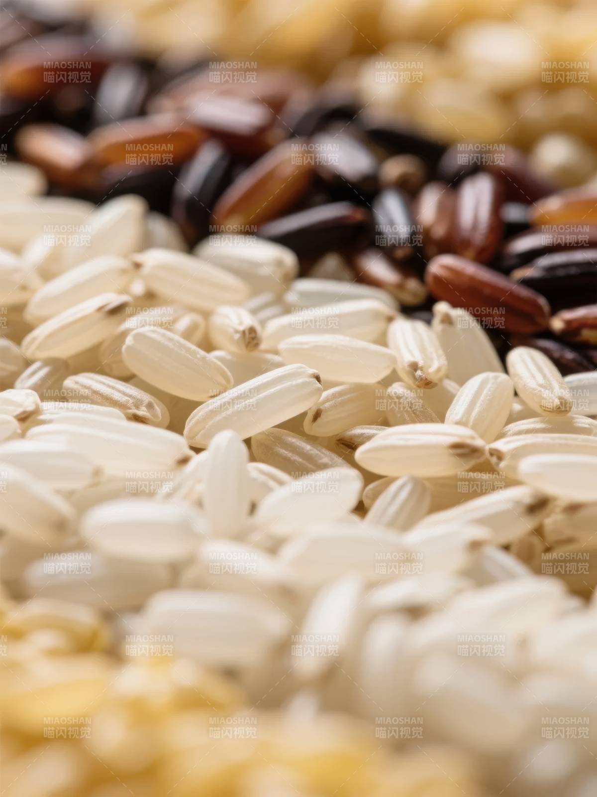 五谷杂粮特写图片