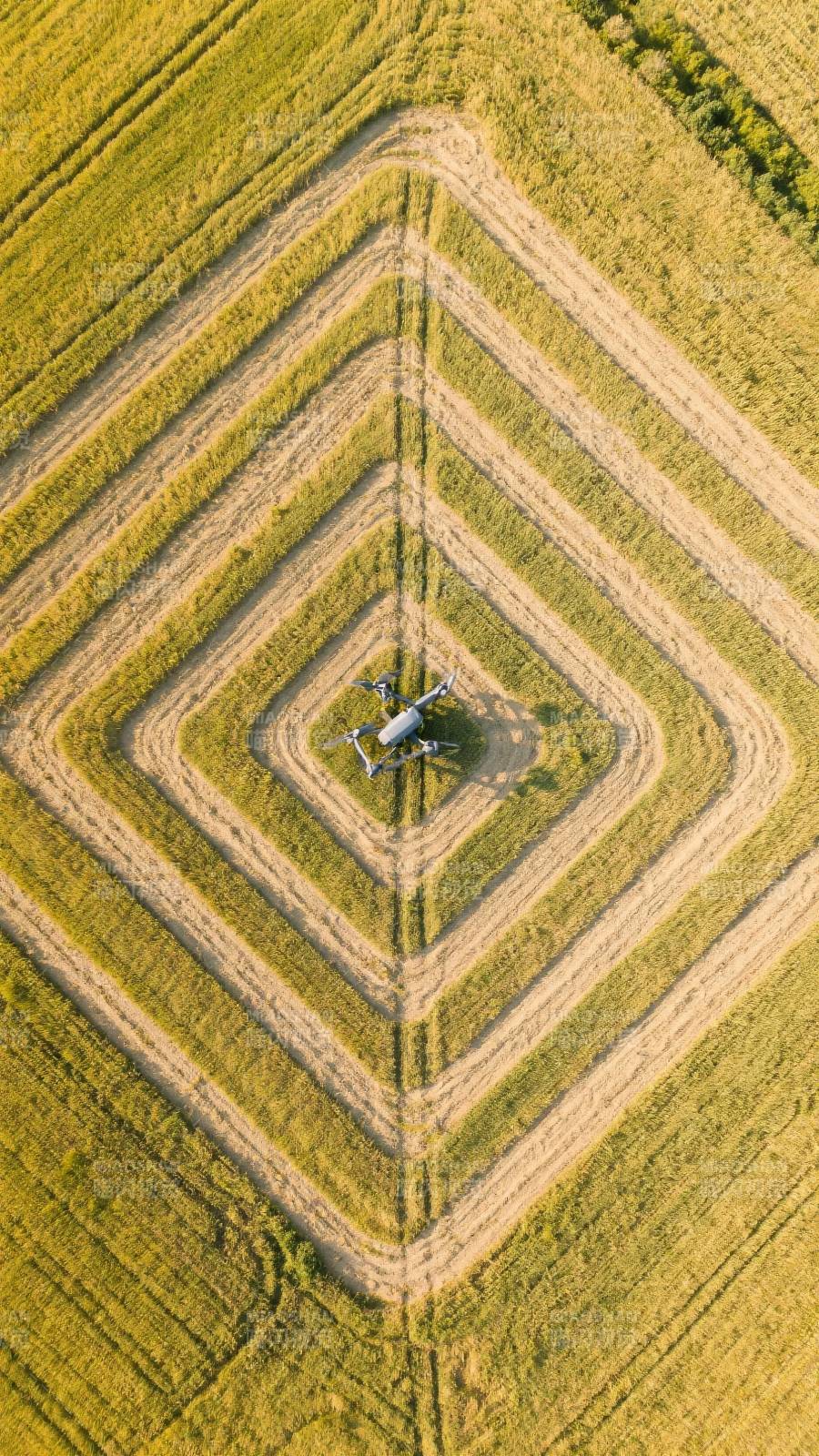 无人机航拍田野图片