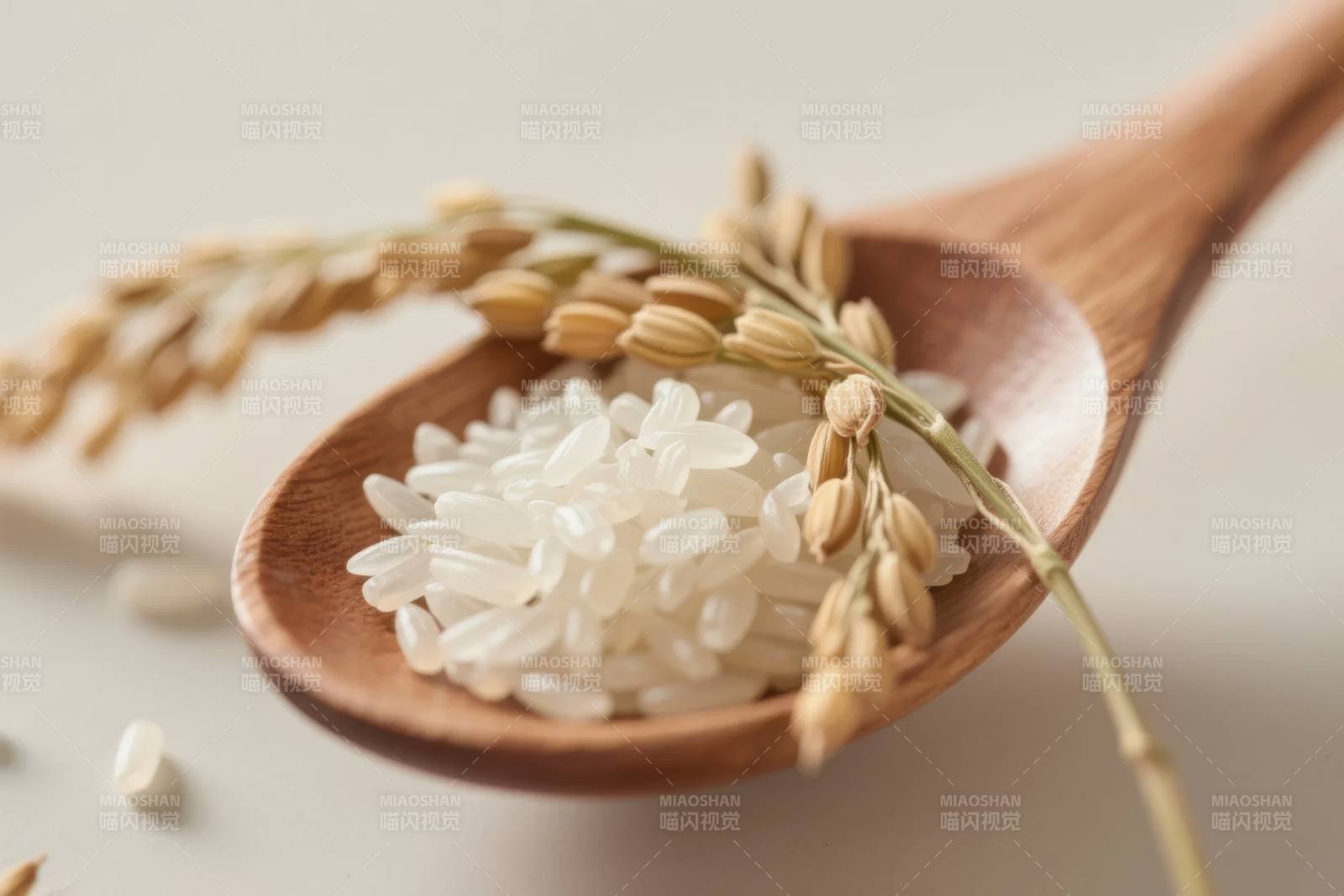 稻穗与白米的静谧图片