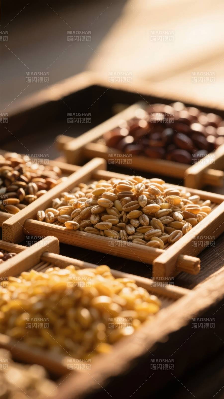 五谷杂粮展示图片