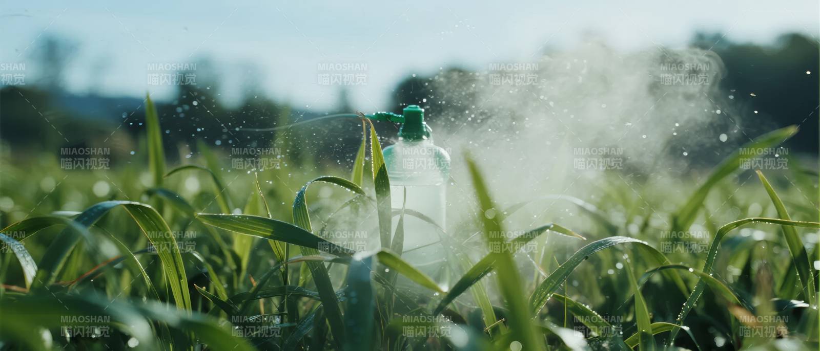 喷洒农药的田野图片