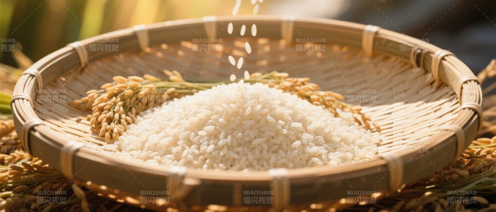 稻谷与白米的邂逅图片