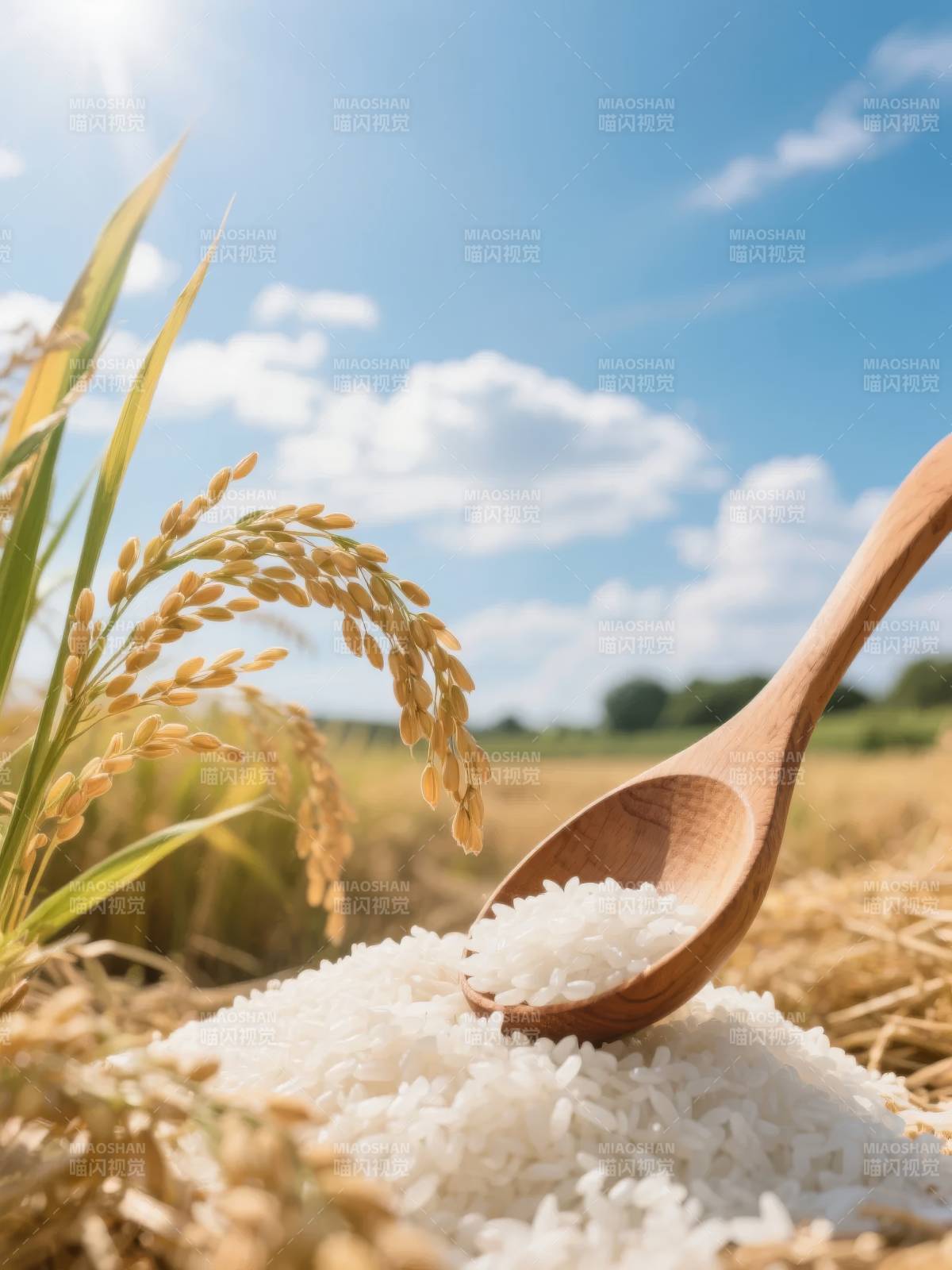 稻香满田 粒粒皆珍图片