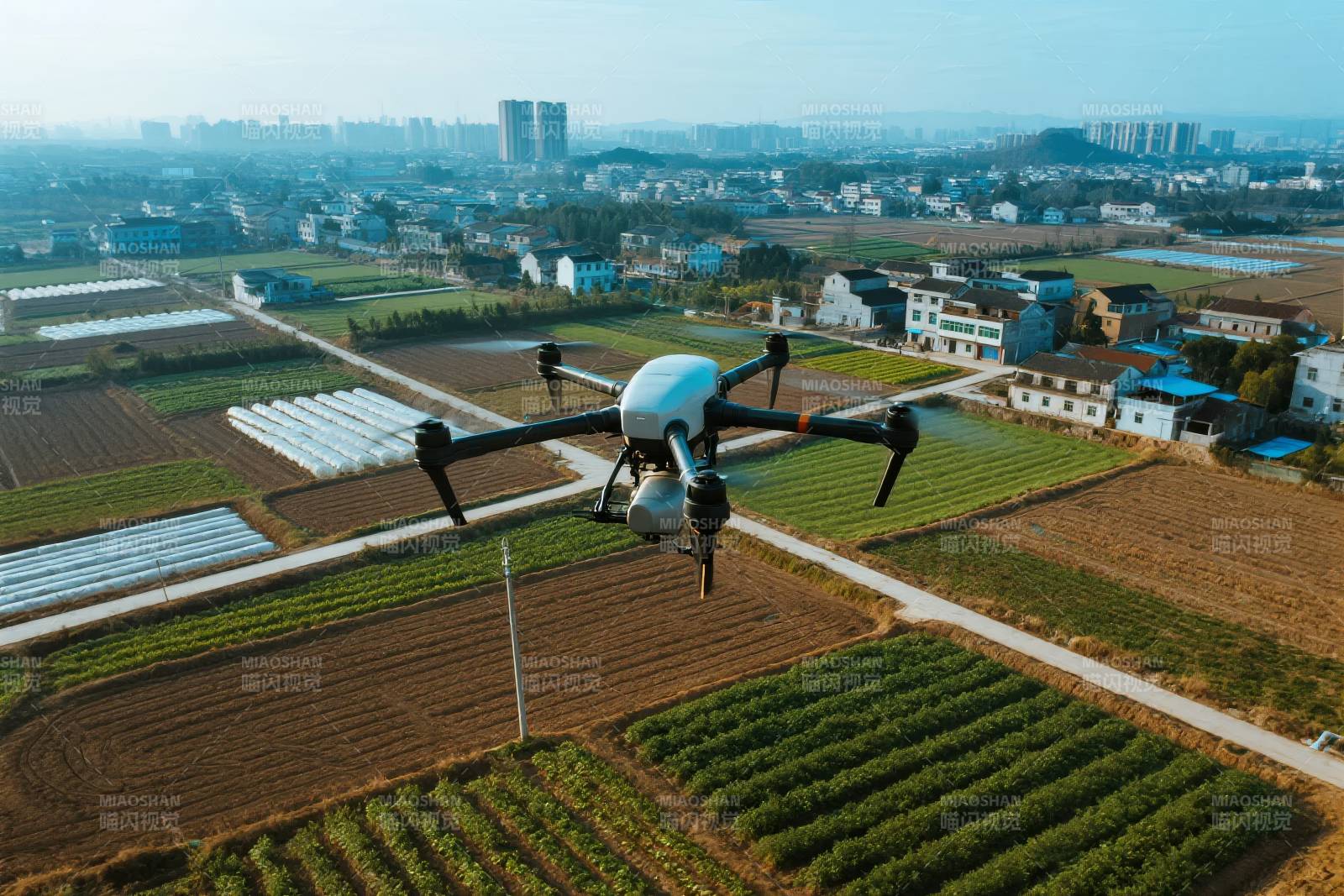 无人机农田作业图片