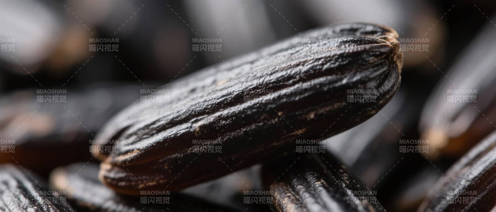 黑芝麻特写图片