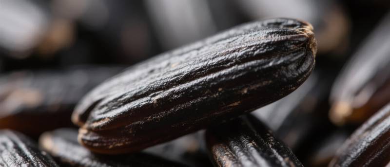 黑芝麻特写图片