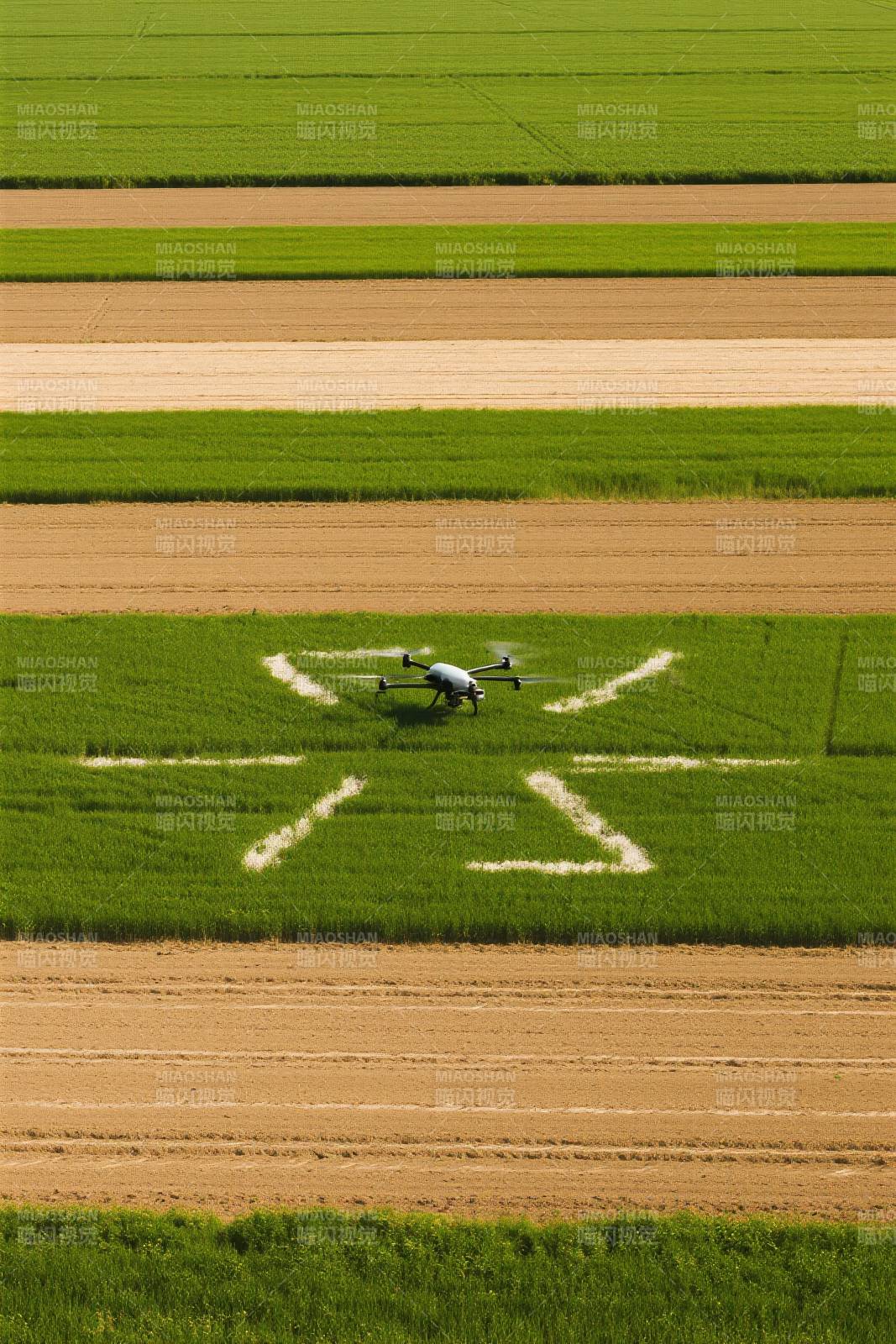 无人机农田作业图片