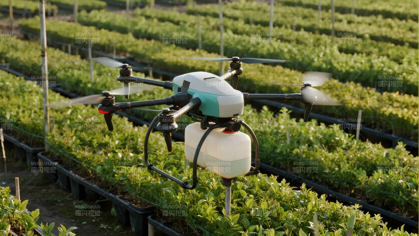 无人机植保作业图片